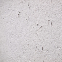 Grunge cement wall