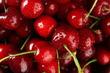 Wet fresh cherries, closeup