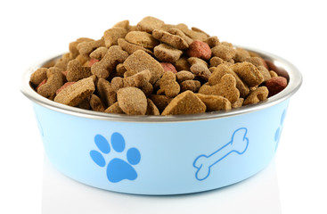 Dog food in bowl, isolated on white