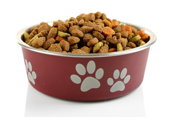 Dog food in bowl, isolated on white