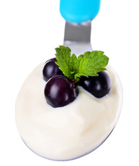 Delicious yogurt in spoon with blackcurrants and mint isolated on white