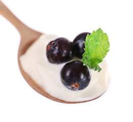 Delicious yogurt in spoon with blackcurrants and mint isolated on white