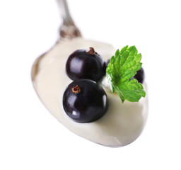Delicious yogurt in spoon with blackcurrants and mint isolated on white