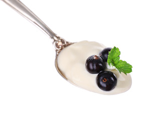 Delicious yogurt in spoon with blackcurrants and mint isolated on white