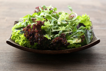 Plate of fresh mixed green salad on wooden table close up