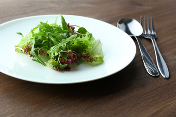 Plate of fresh mixed green salad on wooden table close up