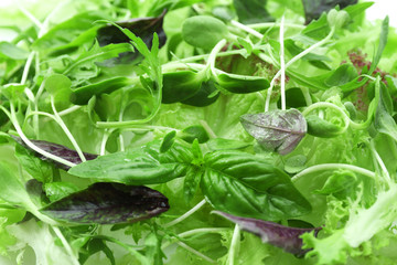 Plate of fresh mixed green salad close up