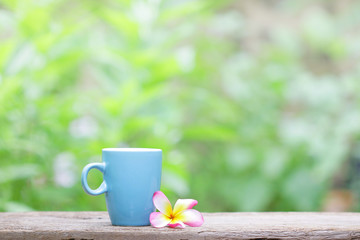 blue mug and plumaria flower on wood table