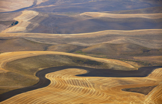 Wheat Fields, Palouse Region, Washington State, USA