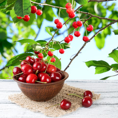 Sweet cherry on the wooden table in garden