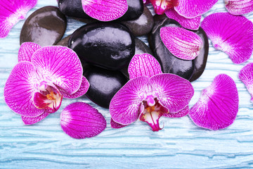 Violet orchid and zen stones close-up