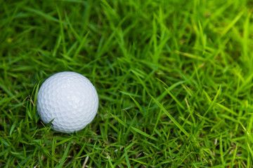 Golf ball on green grass