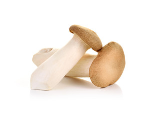 Fototapeta na wymiar King Oyster mushrooms isolated on white background