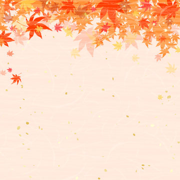 紅葉　もみじ　秋　和紙風