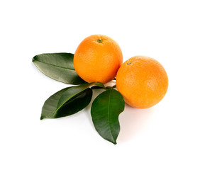 Fresh orange on white background