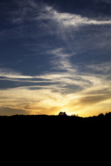 Abstract Background