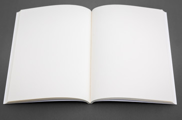 Blank catalog,brochure, magazines,book mock up