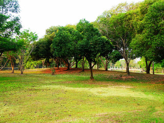 A public park