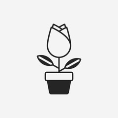 plant icon
