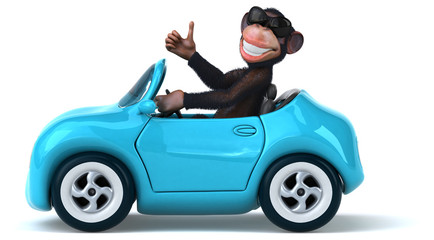 Fun monkey © Julien Tromeur