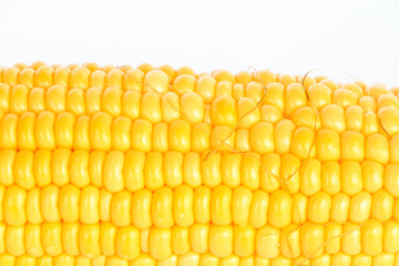 sweet corn isolated on white background