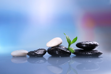 Wet spa stones with green leaves on turquoise background