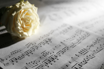 Beautiful rose on music sheets background