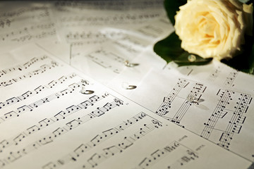 Beautiful rose on music sheets background