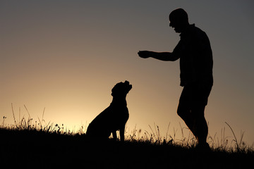 Herrchen und Hund als Silhouette bei Sonnenuntergang