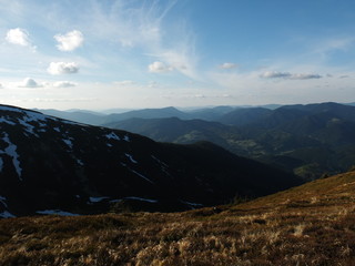 Obraz premium Жаркий полдень в Карпатах