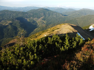 Жаркий полдень в Карпатах © iuliiia