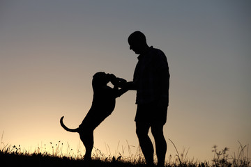 Herrchen und Hund als Silhouette bei Sonnenuntergang