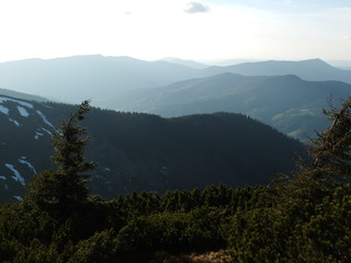 Жаркий полдень в Карпатах © iuliiia