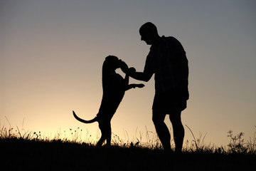 Herrchen und Hund als Silhouette bei Sonnenuntergang