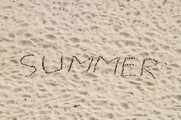 Summer word from conifer cones on sand surface