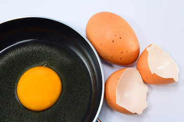 Fresh eggs