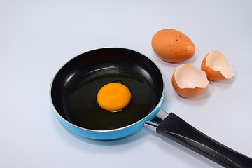 Fresh eggs