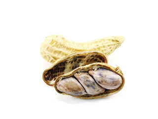 blank heart frame and rose flower