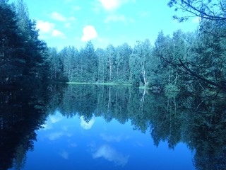 Лесное озеро
