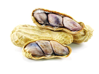 peanut on white background 