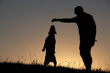 Herrchen und Hund als Silhouette bei Sonnenuntergang