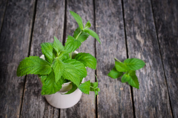 Fresh mint