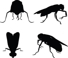bug fly silhouette