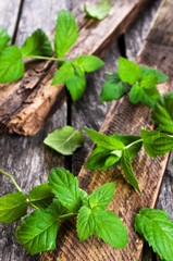 Fresh mint