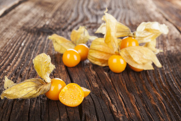 Physalis.