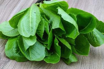 Romano salad leaves