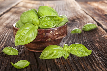 Basil herbs.
