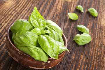 Basil herbs.