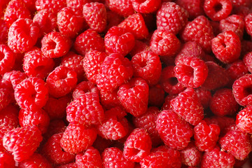 Heap of sweet red raspberries close up