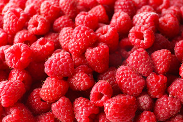 Heap of sweet red raspberries close up